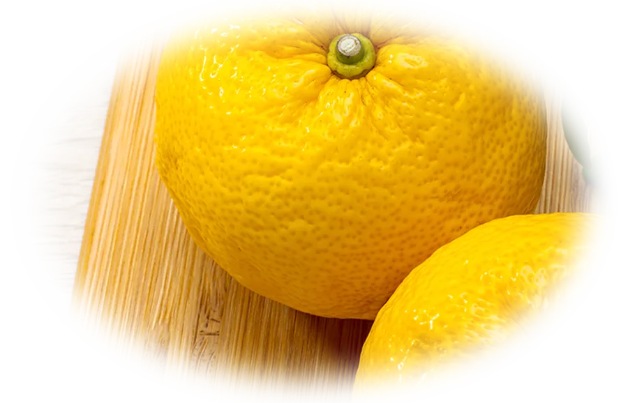 ダメージケア2種